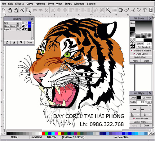 Học corel từ cơ bản tới nâng cao tại Hải Phòng