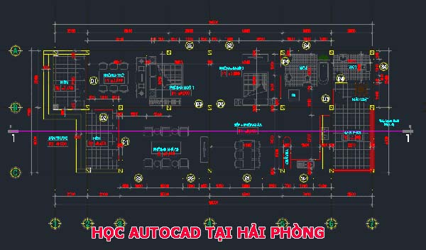 học vẽ autocad chuyên nghiệp