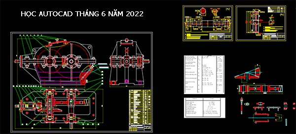 Học vẽ autocad tháng 6