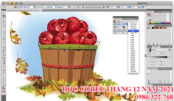 Học thiết kế corel
