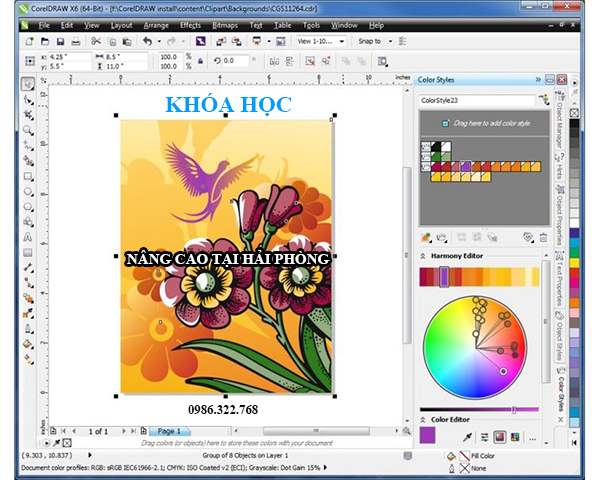 Khóa học corel cơ bản tốt nhất tại Hải Phòng