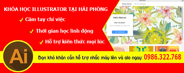 Học illustrator tại Hải Phòng