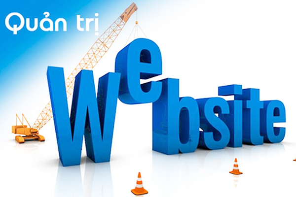 Học seo web