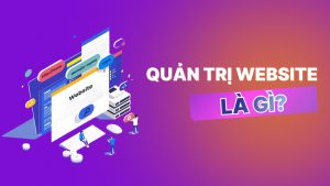 Học quản trị web tại Tiên Lãng