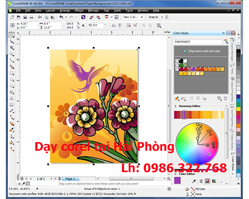 Dạy corel cấp tốc tại nhà ở Hải Phòng