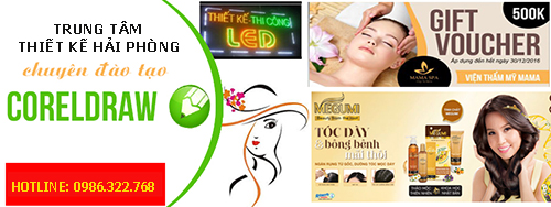 Học Corel Draw tại Kiến An