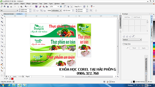 Khóa học corel tại Hải Phòng, dạy corel tại Hải Phòng