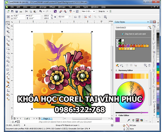 Khóa học corel tại Vĩnh Phúc