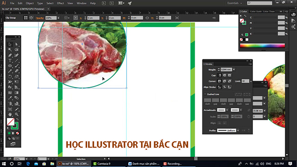 Khóa học Illustrator tại Bắc Kạn