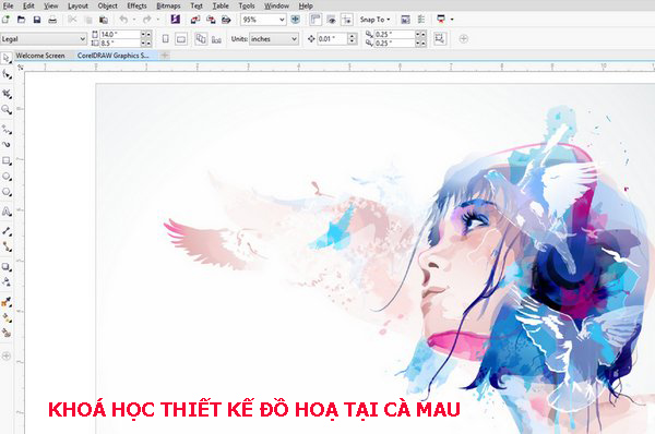 Khóa học thiết kế đồ hoạ tại Cà Mau