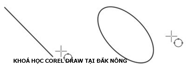 Khóa học Corel Draw tại Đắk Nông