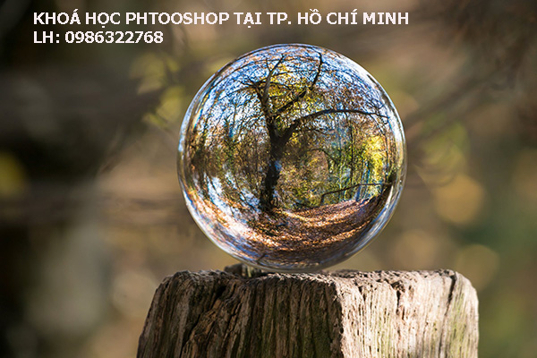 Khoá học photoshop tại TP. Hồ Chí Minh