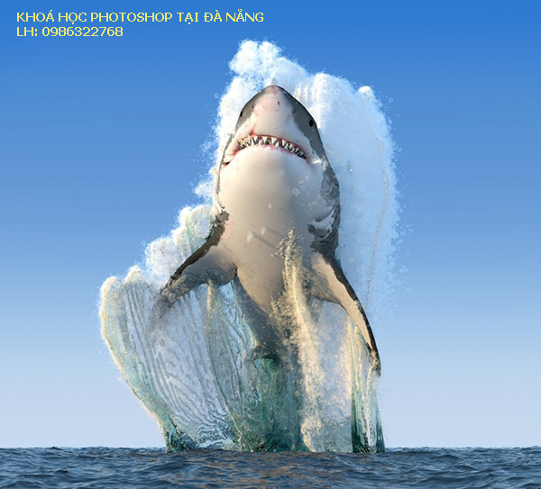 Khóa học Photoshop tại Đà Nẵng