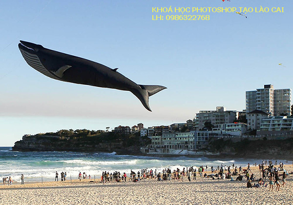 Khóa học Photoshop tại Lào Cai