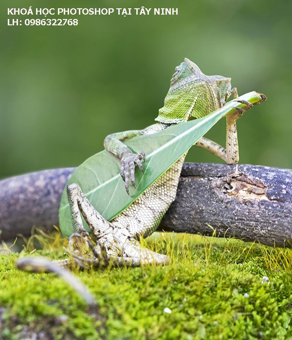 Khoá học photoshop tại Tây Ninh