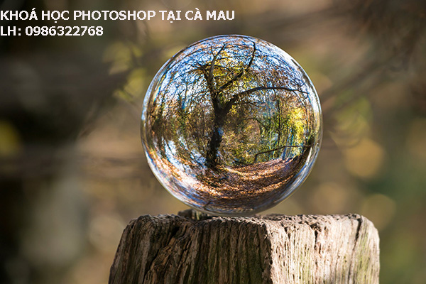 Khóa học Photoshop tại Cà Mau