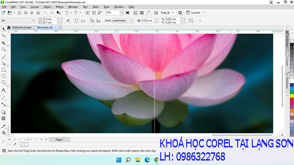 Khóa học Corel Draw tại Lạng Sơn