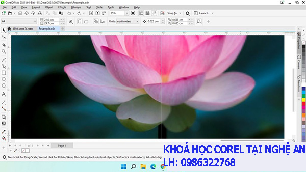 Khóa học Corel Draw tại Nghệ An