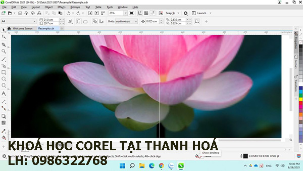 Khóa học Corel Draw tại Thanh Hoá